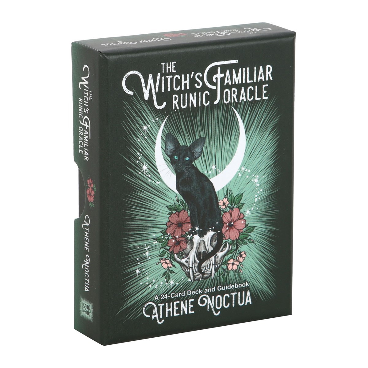witch_familiar1